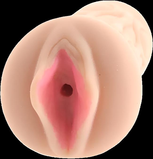 Pornstar Fuckable Skyla Novea Pussy Stroker