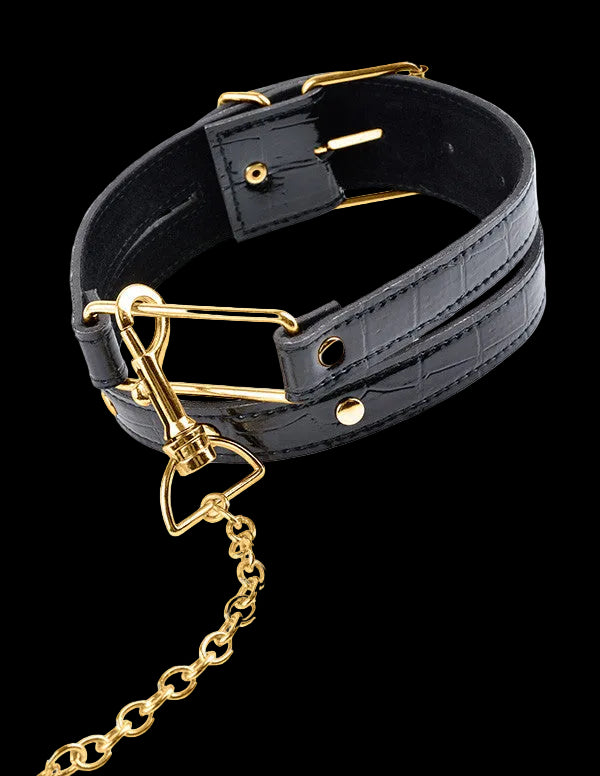 FF Gold Collar and Leash