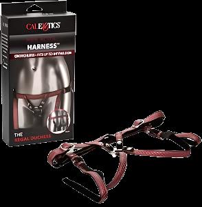 Her Royal Harness The Regal Dutchess Red