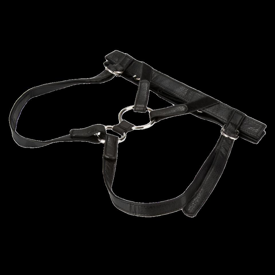 Her Royal Harness The Dutchess