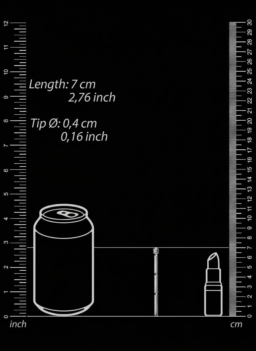 Urethral Sounding - Metal Stick