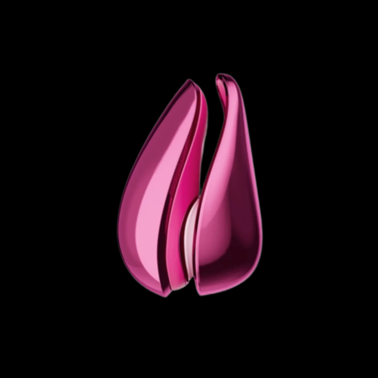 Womanizer Liberty 2 Iggy (Online Only)