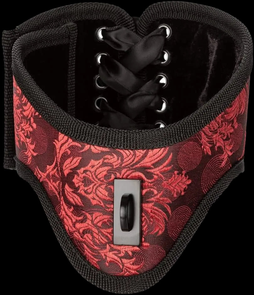 Scandal Posture Collar With Cuffs