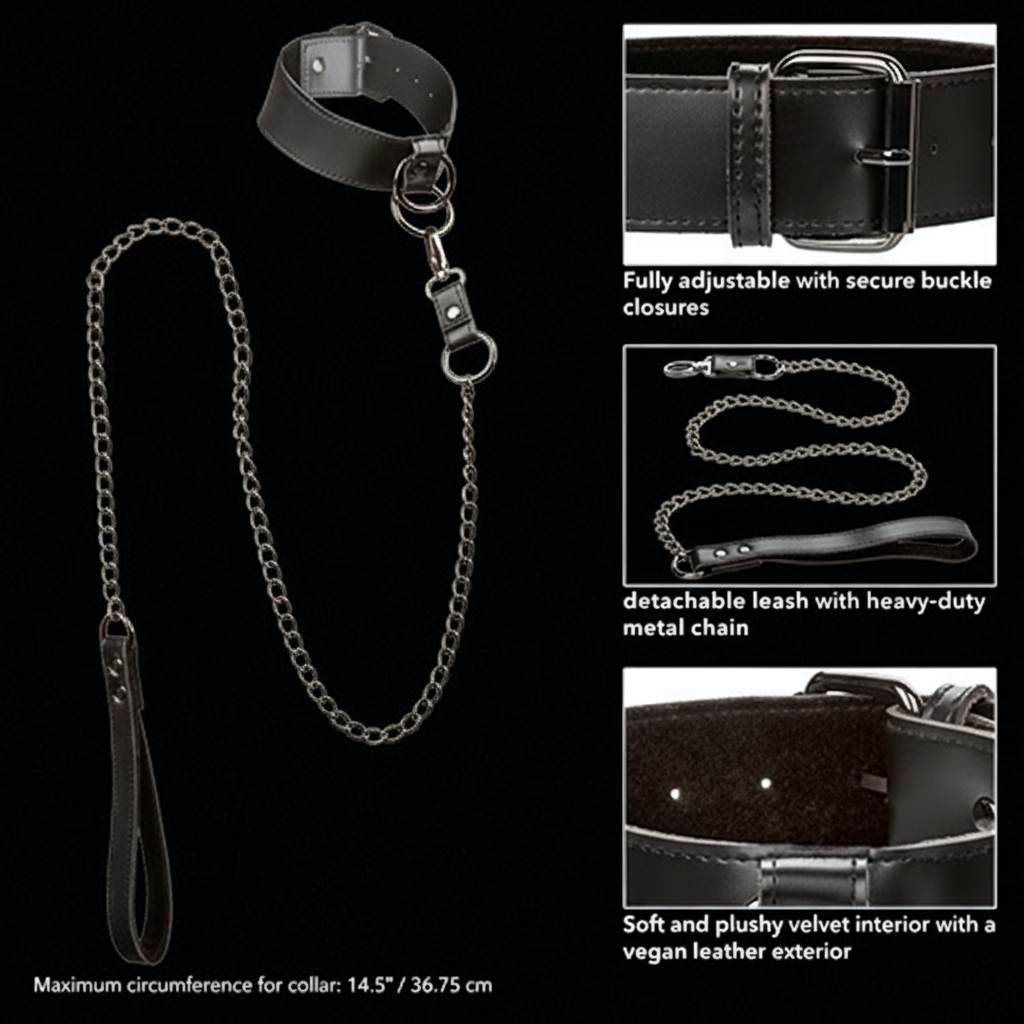 Euphoria Collection Collar With Chain Leash