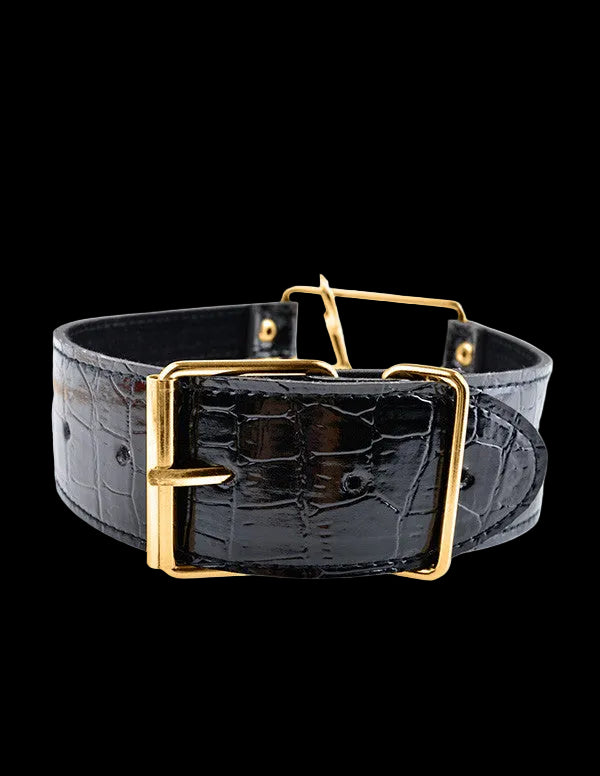 FF Gold Collar and Leash