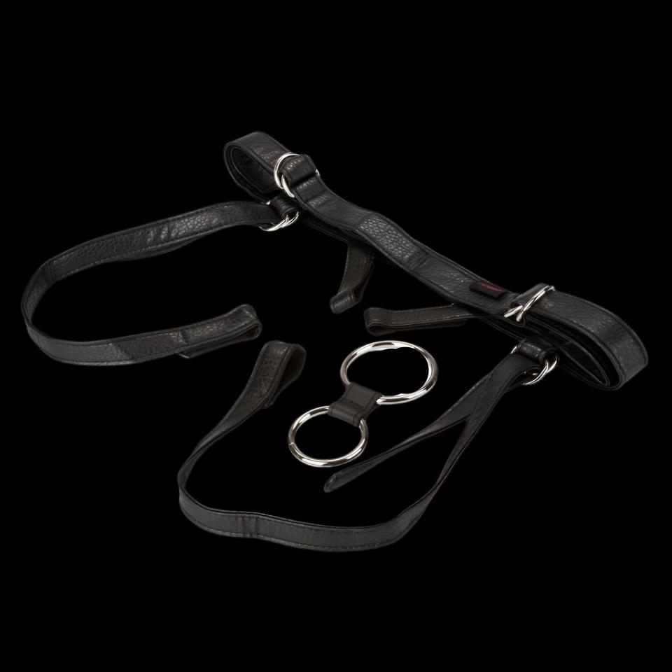 Her Royal Harness The Dutchess