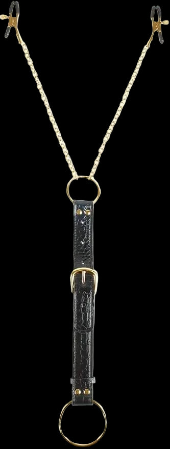 FF Gold Cockring and Clamps