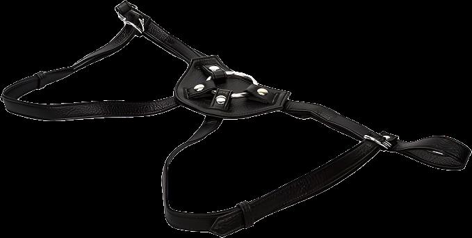 Her Royal Harness The Countess