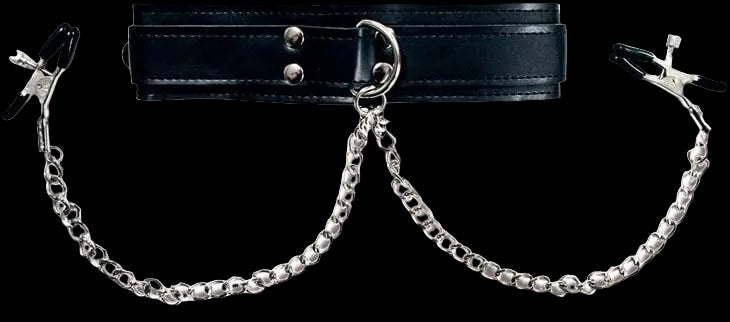 Sportsheets Collar with Nipple Clamps