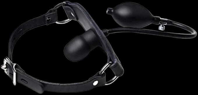 Silencer Inflatable Locking Gag