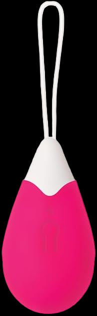 Evolved Remote Control Egg