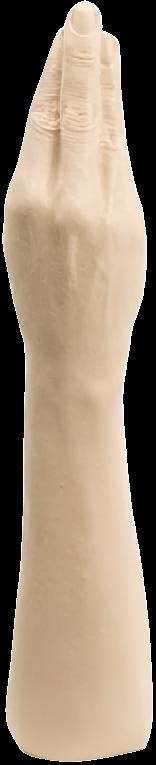 The Hand -Flesh