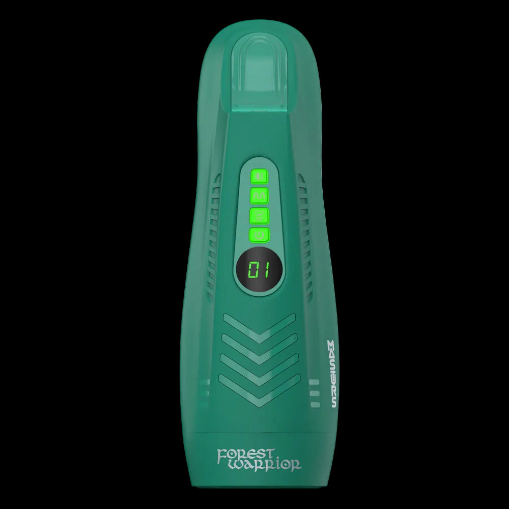 Masturs Ayla-Forest Warrior