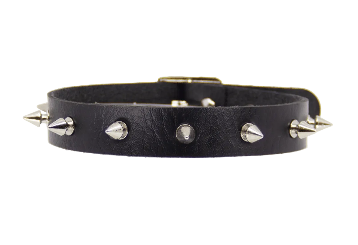 Black Collar with Spikes