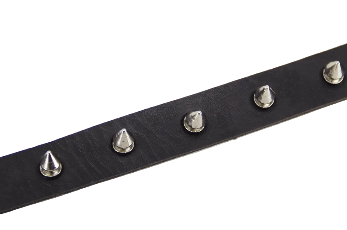 Black Collar with Spikes