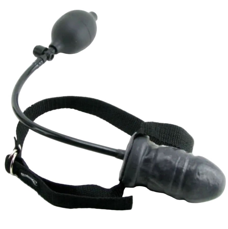 FFS Inflatable Ball Gag