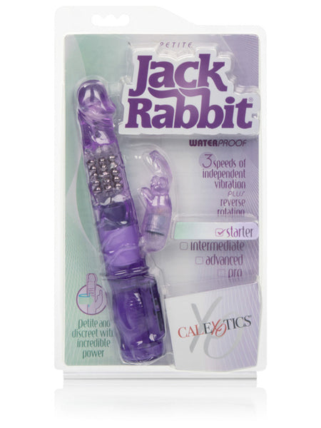Petite Jack Rabbit- Purple