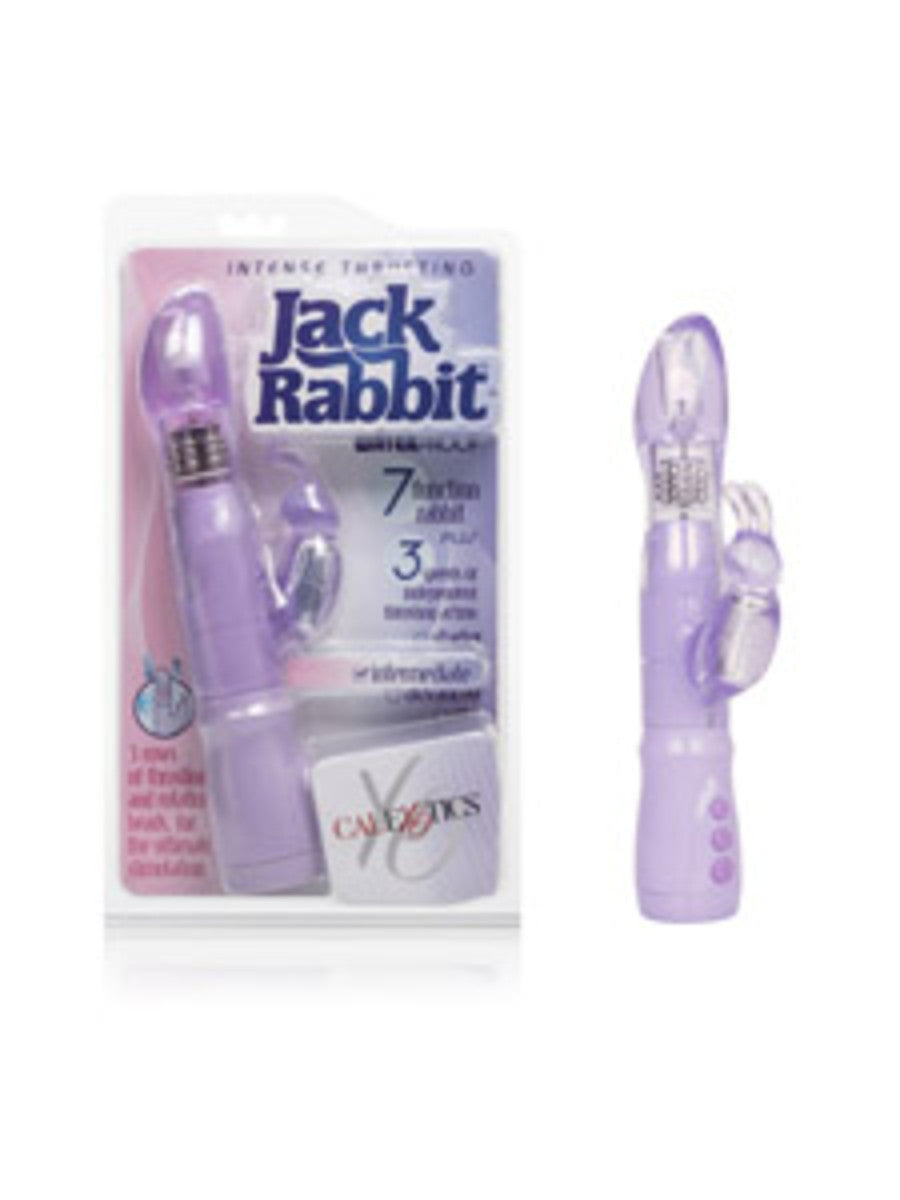 Intense Thrusting Jack Rabbit Purple