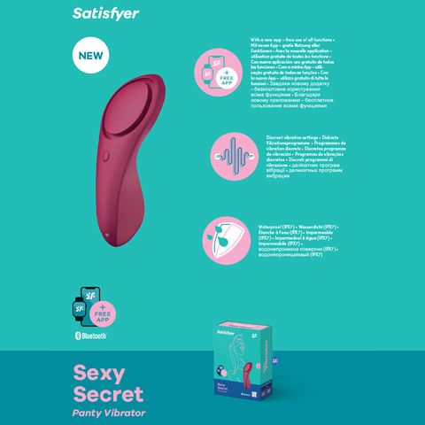 Satisfyer Sexy Secret Panty Vibe App Control
